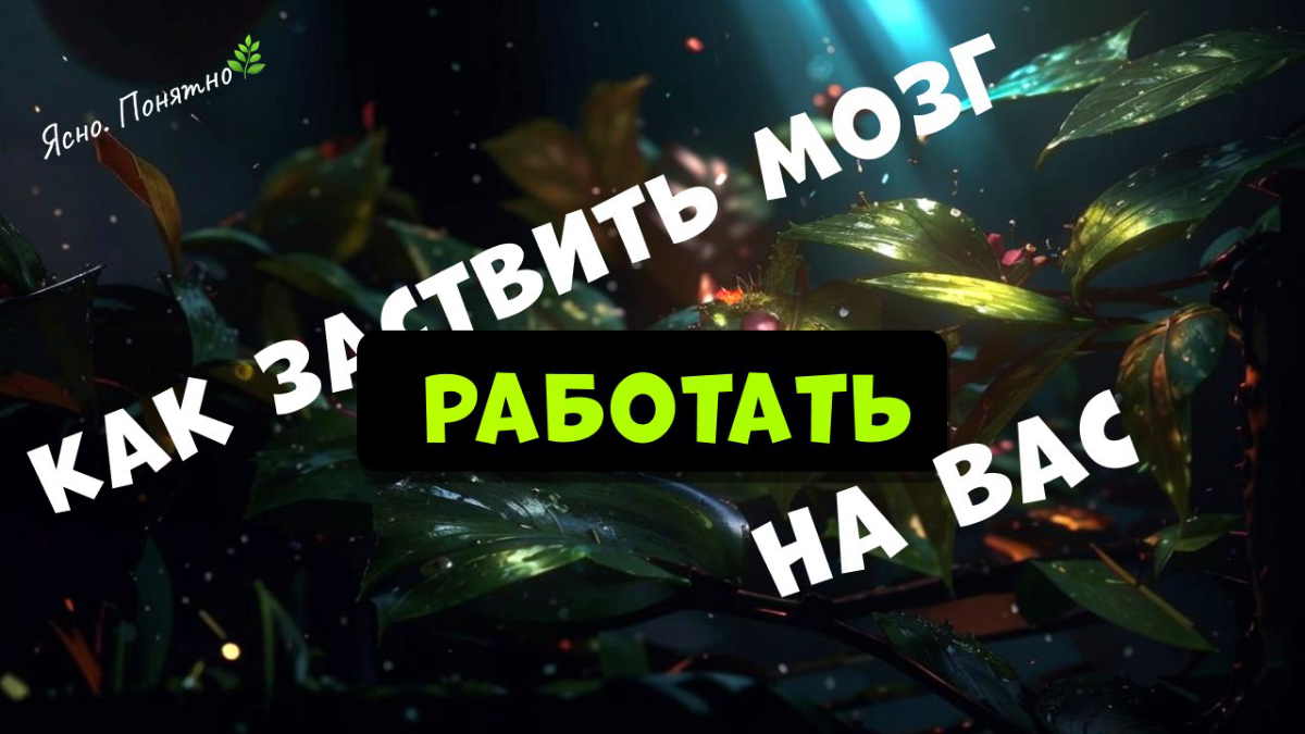 Как заставить мозг работать на вас: | Сетка — социальная сеть от hh.ru