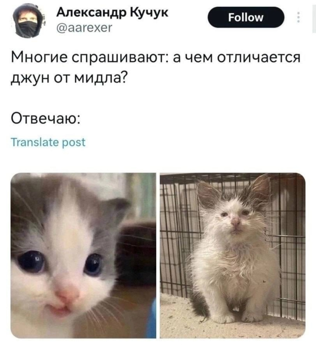 Сетка — социальная сеть от hh.ru