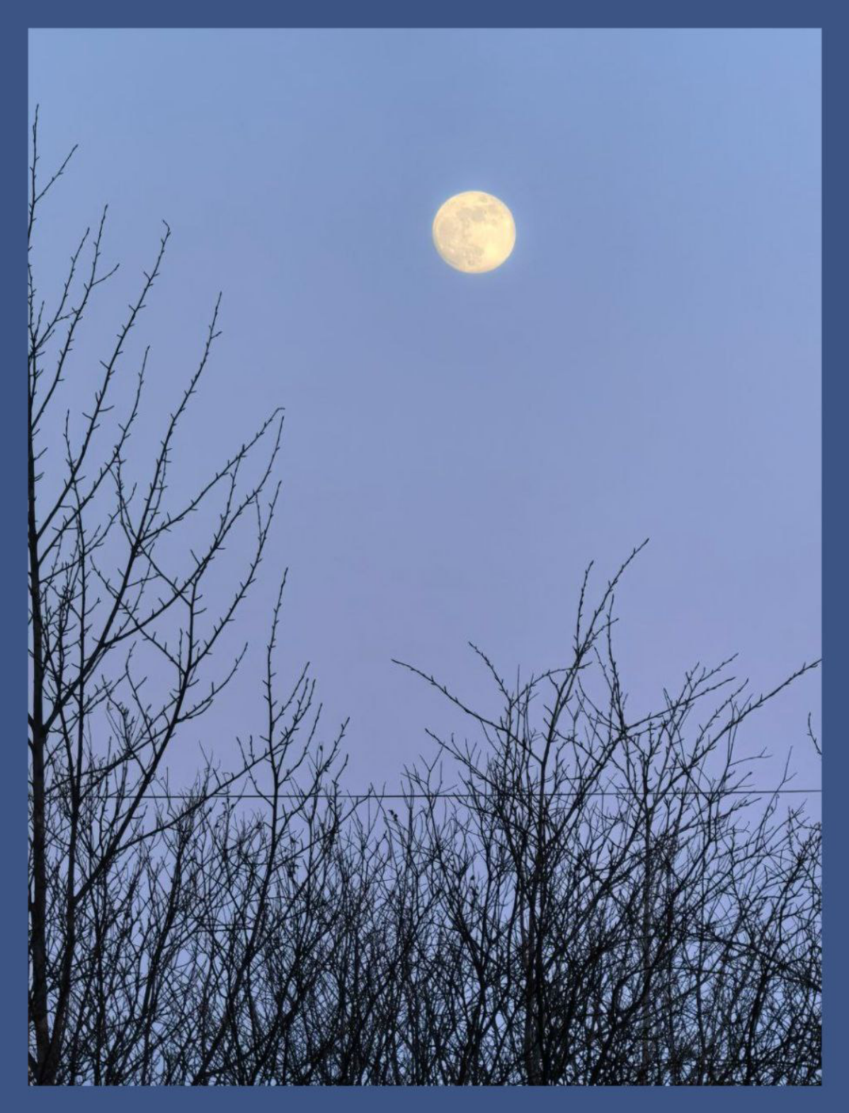 Многообразие Луны / Moon variations | Сетка — социальная сеть от hh.ru