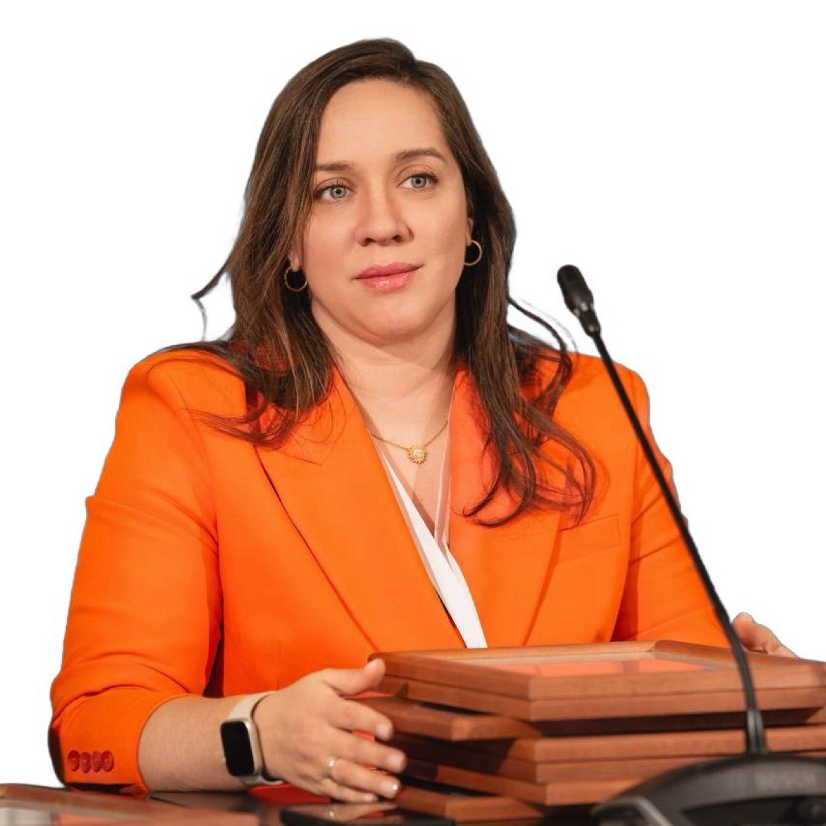 Эльмира Магомедова | Сетка — социальная сеть от hh.ru