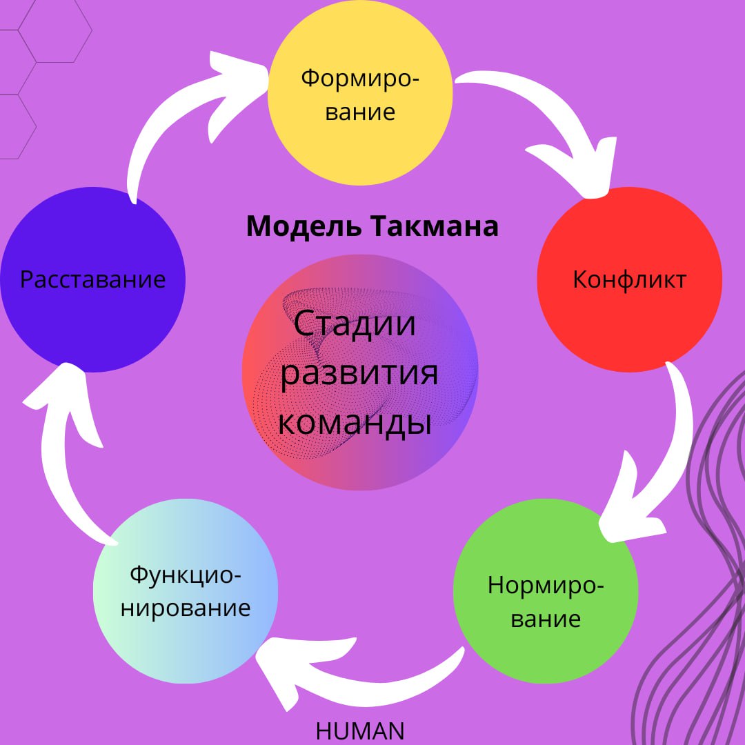 📊Модель Такмана: 5 стадий развития команды и как их может использовать HR
🧲Иногда, даже если мы собрали сильную команду, бывает, что не всегда удаётся управлять процессами так, как хотелось бы | Сетка — социальная сеть от hh.ru