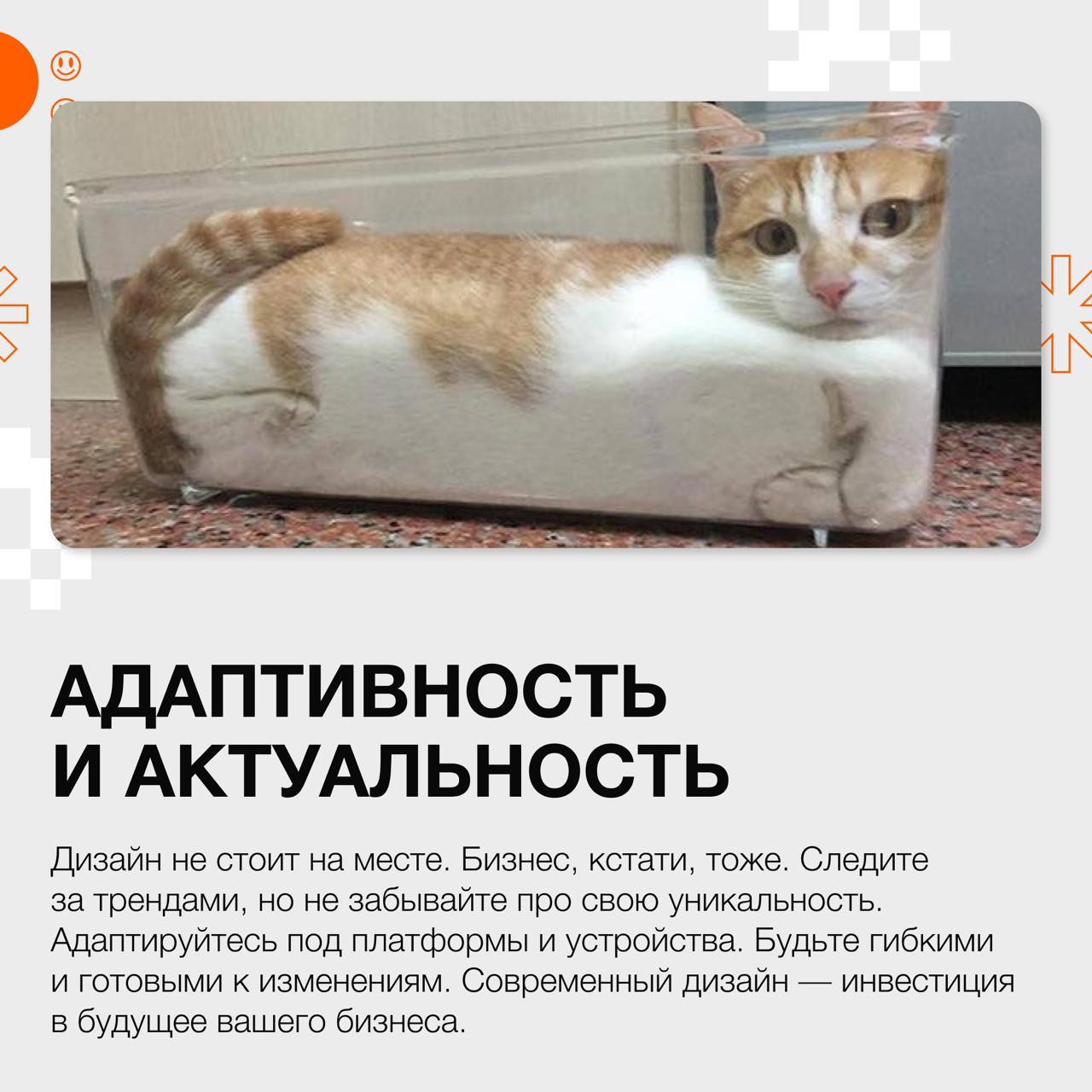 👤 Совет профи: 5 поинтов от дизайнера для хороших продаж
Смело листай карточки! 
На связи Дэн Роач, сеньор дизайнер, автор канала @daroachdesign | Сетка — социальная сеть от hh.ru