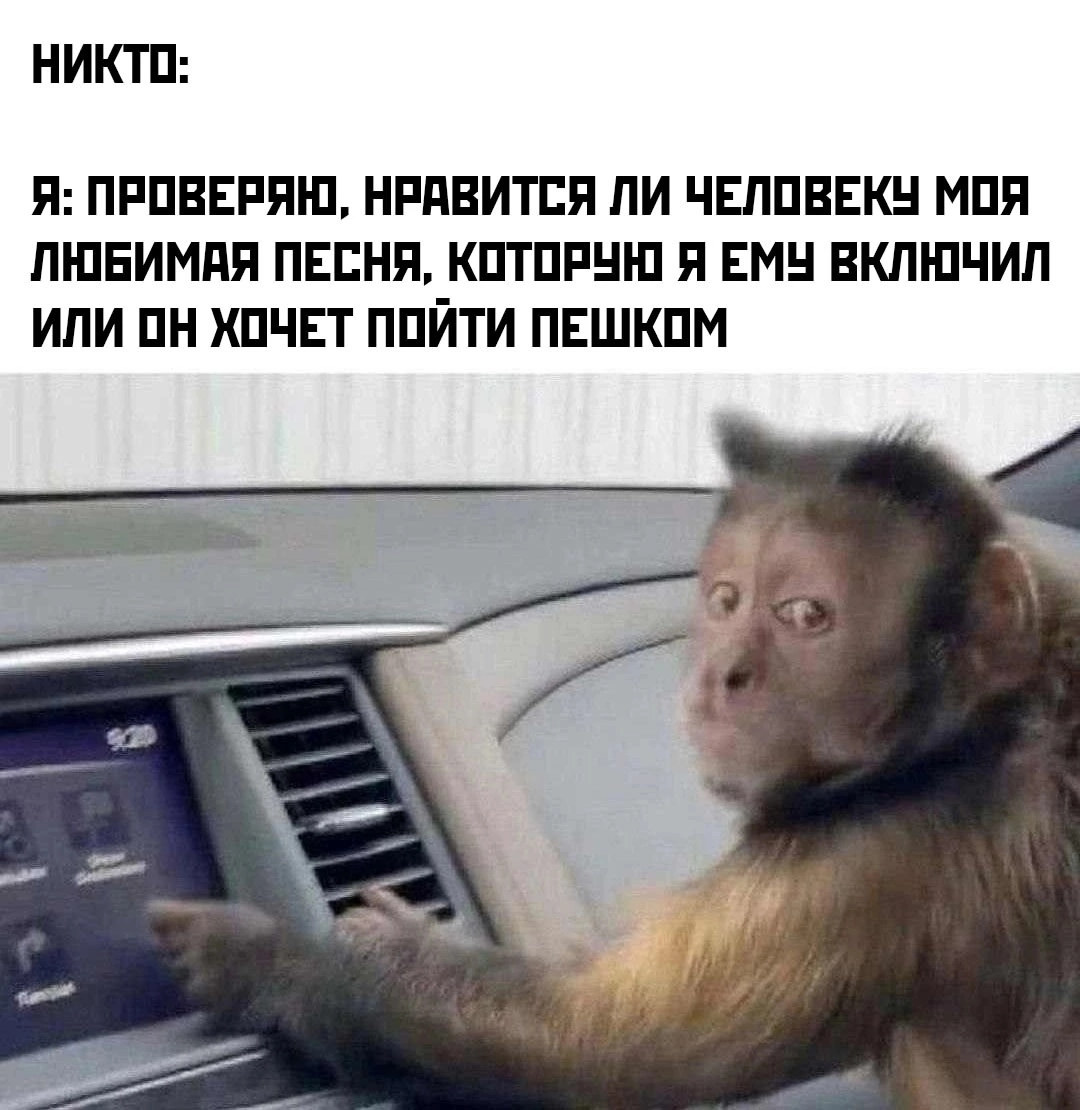 Кто за рулём? | Сетка — социальная сеть от hh.ru