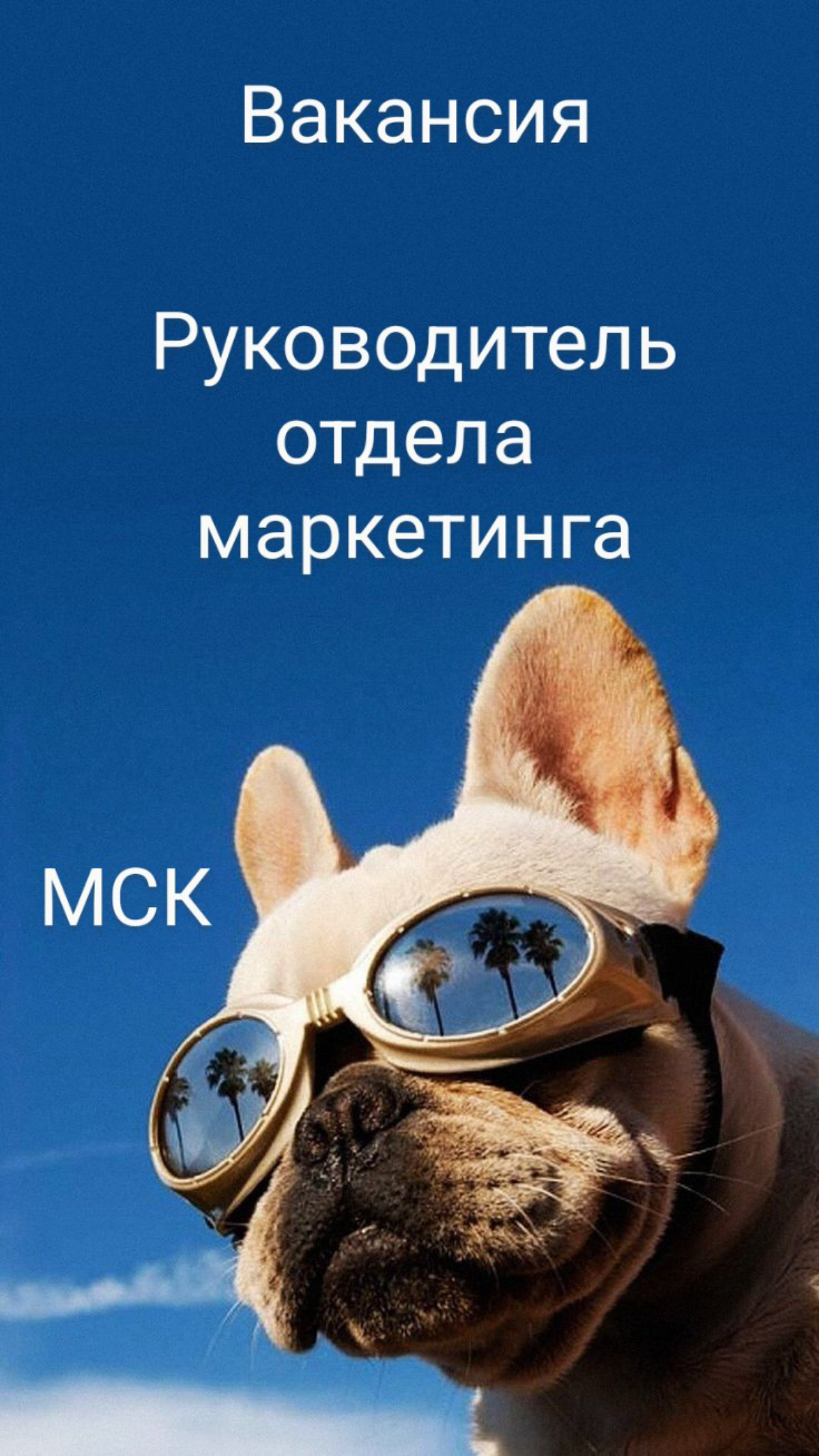 #вакансия #vacancy #руководитель #маркетинг #офис #Москва #fulltime #CMO
вакансия: Руководитель отдела маркетинга
зарплата:  до 400 т.р | Сетка — социальная сеть от hh.ru