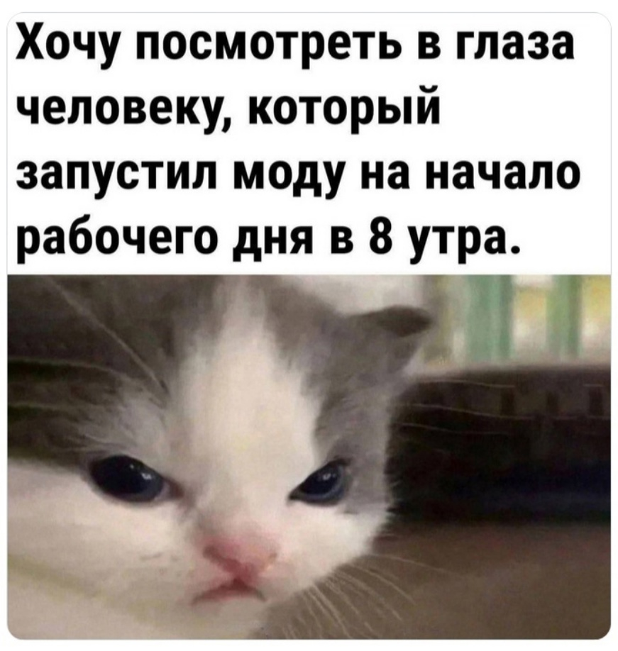 Сетка — социальная сеть от hh.ru
