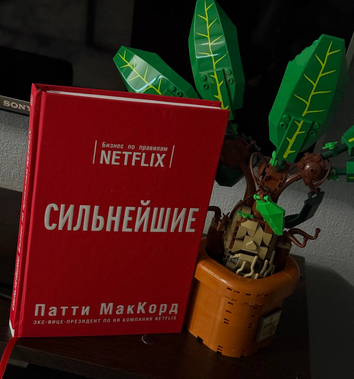 Друзья, всем книжный привет!
Сегодня у нас на рассмотрении книга бывшего вице-президента по HR Netflix Патти МакКорд "Сильнейшие"
Короче говоря, книга про бирюзовый менеджмент в IT стартапе | Сетка — социальная сеть от hh.ru