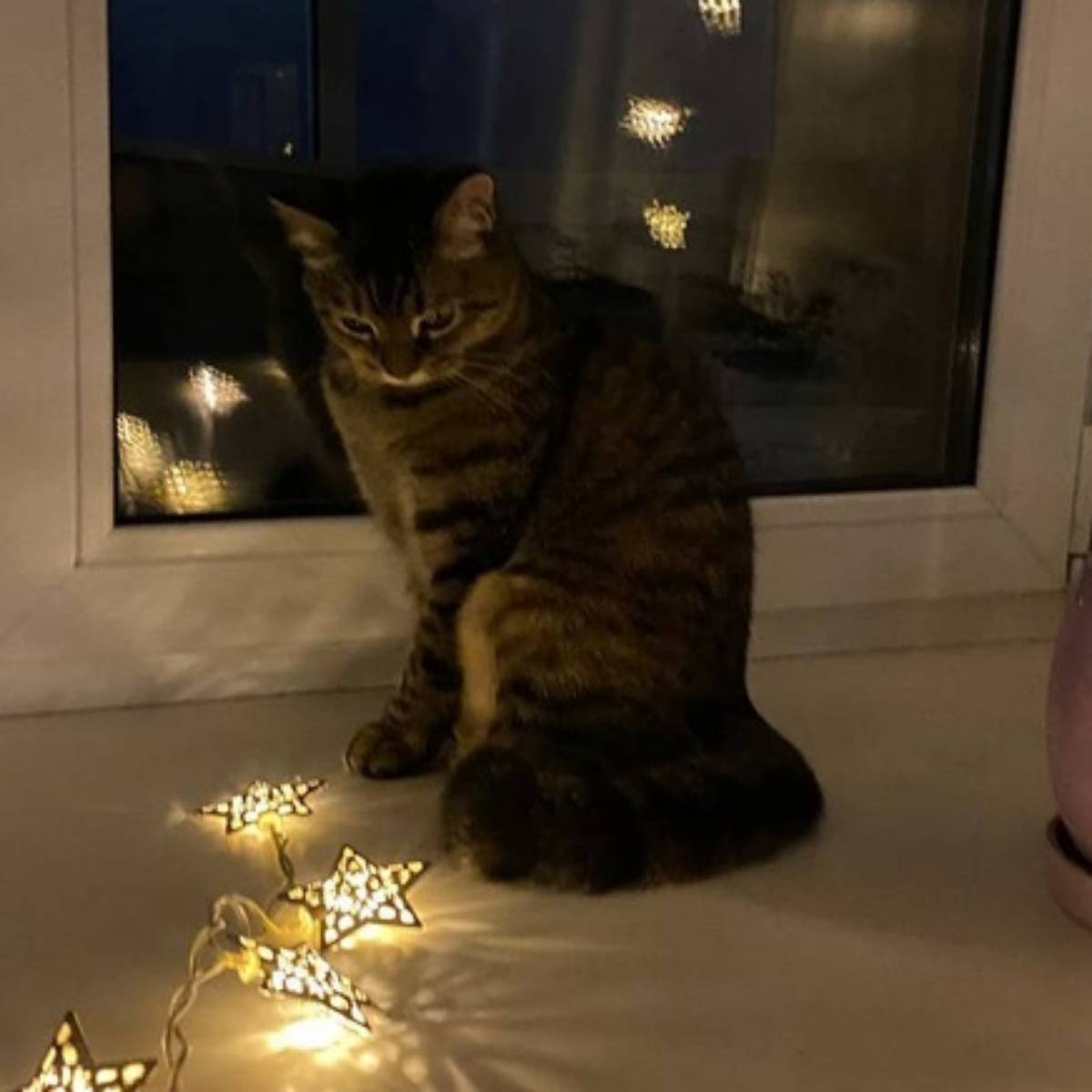 Антон Недобежкин