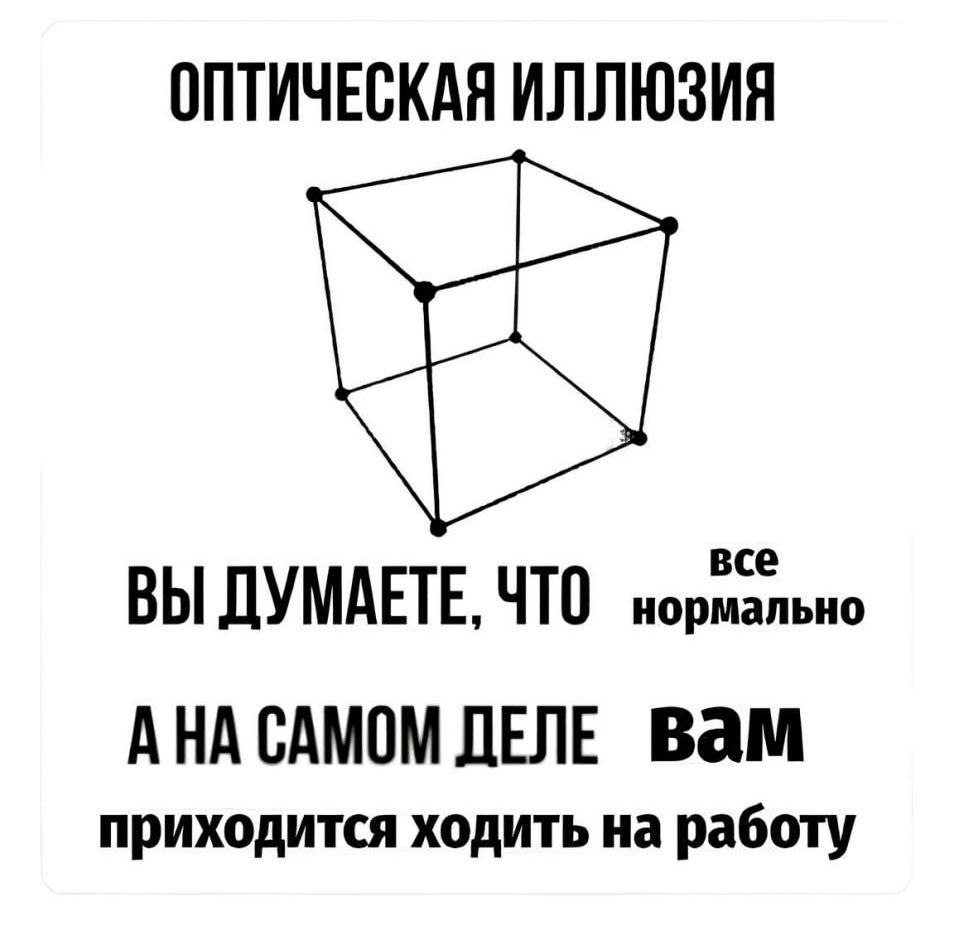 Ещё и минус за окном 🥲 | Сетка — социальная сеть от hh.ru