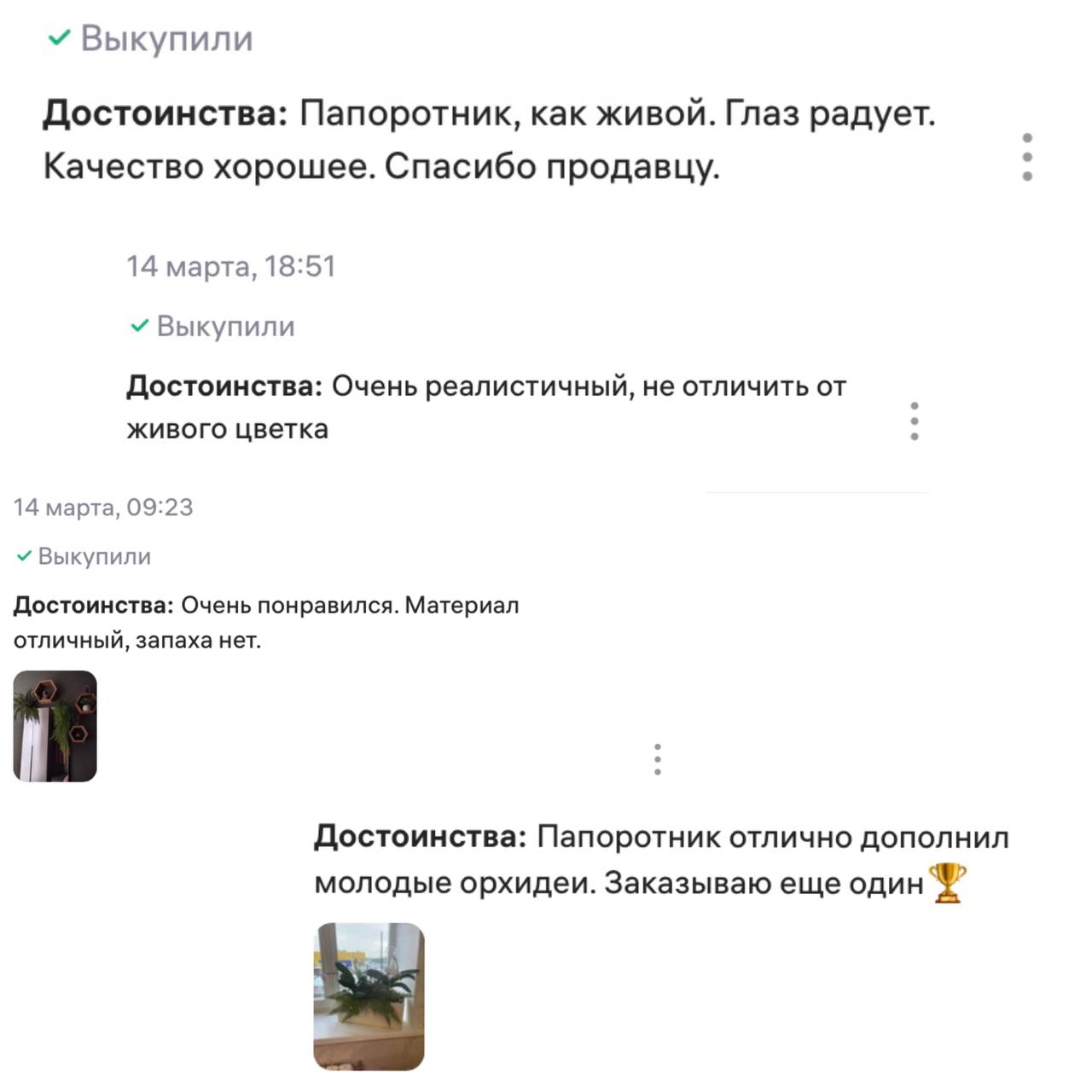 ✨ Искусственный папоротник✨
🌿 Искусственный папоротник – это стильное, универсальное и долговечное украшение для интерьера | Сетка — социальная сеть от hh.ru