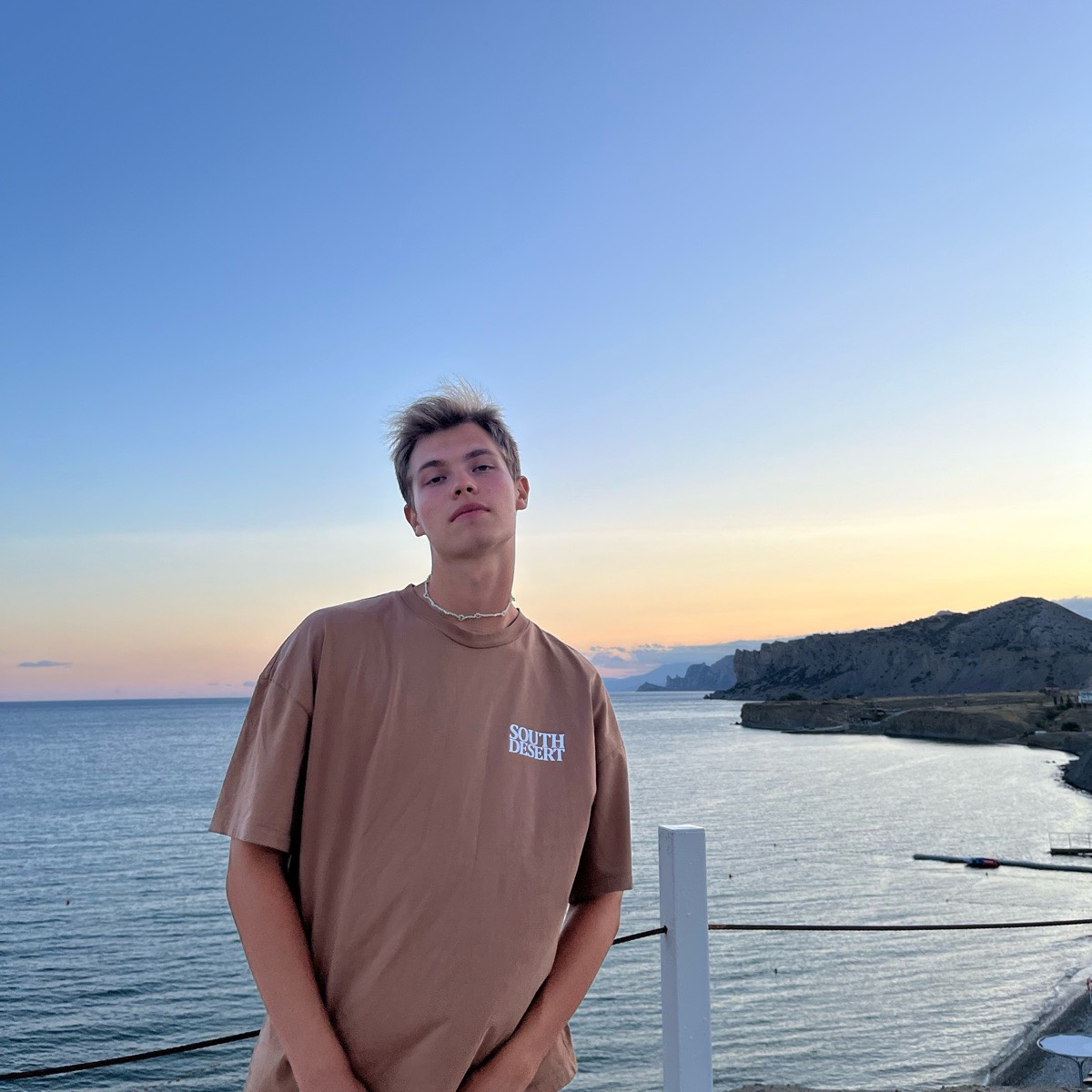 Дмитрий Шаверин