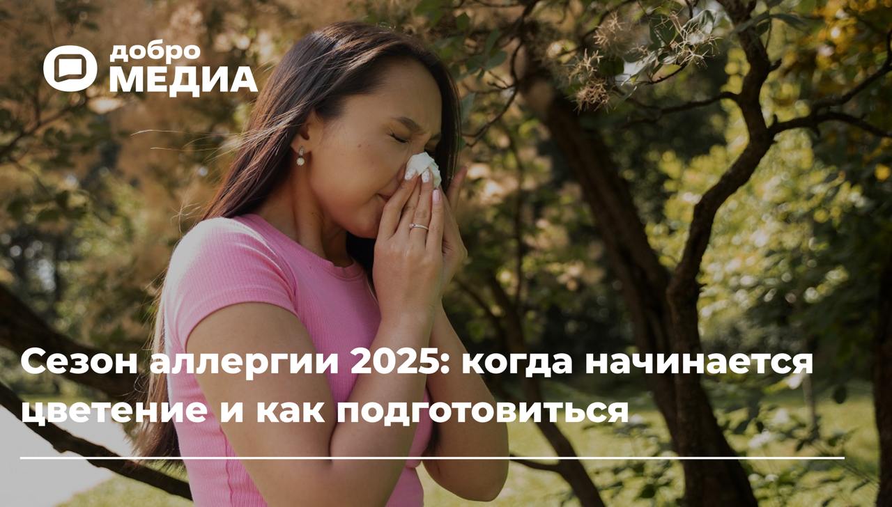 Как подготовиться к сезону цветения
В связи с аномально тёплой зимой и ранней весной сезон аллергии в этом году начнётся как минимум на месяц раньше привычного | Сетка — социальная сеть от hh.ru