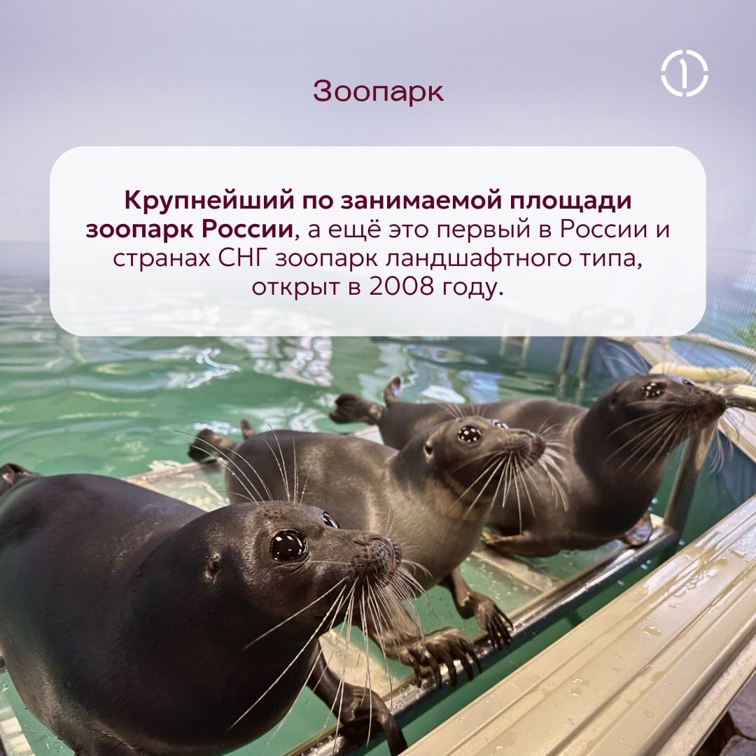 ✔️ Правильный ответ и наш пункт назначения — Ярославль!
Это один из старейших городов России и столица Золотого кольца, где история и архитектура переплетаются с природной красотой | Сетка — социальная сеть от hh.ru