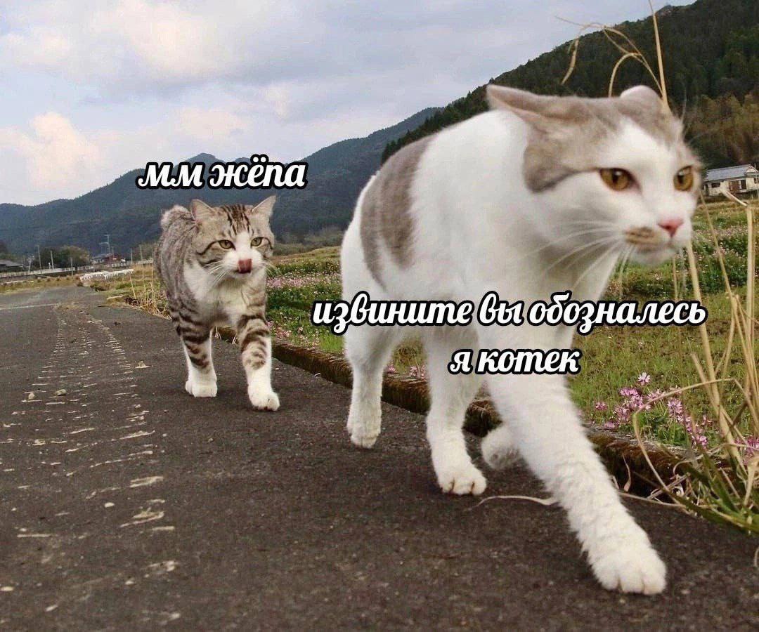 Я и перспективный проект | Сетка — социальная сеть от hh.ru