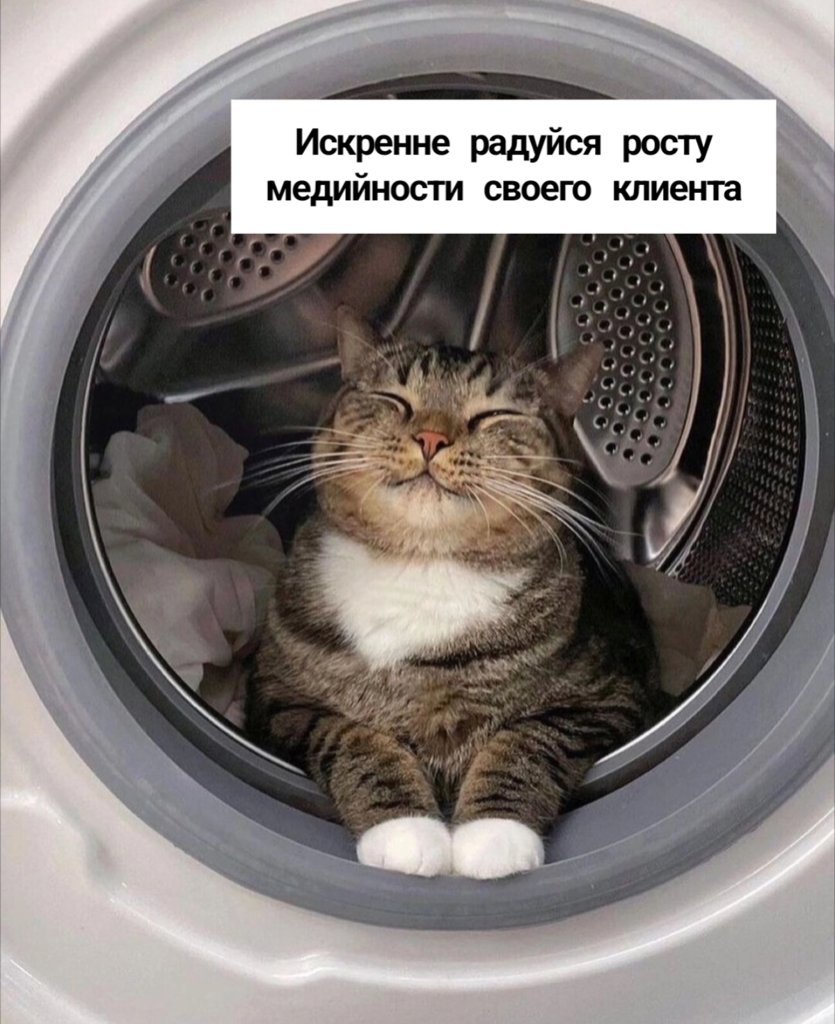 Хороший пиарщик - он как котик | Сетка — социальная сеть от hh.ru