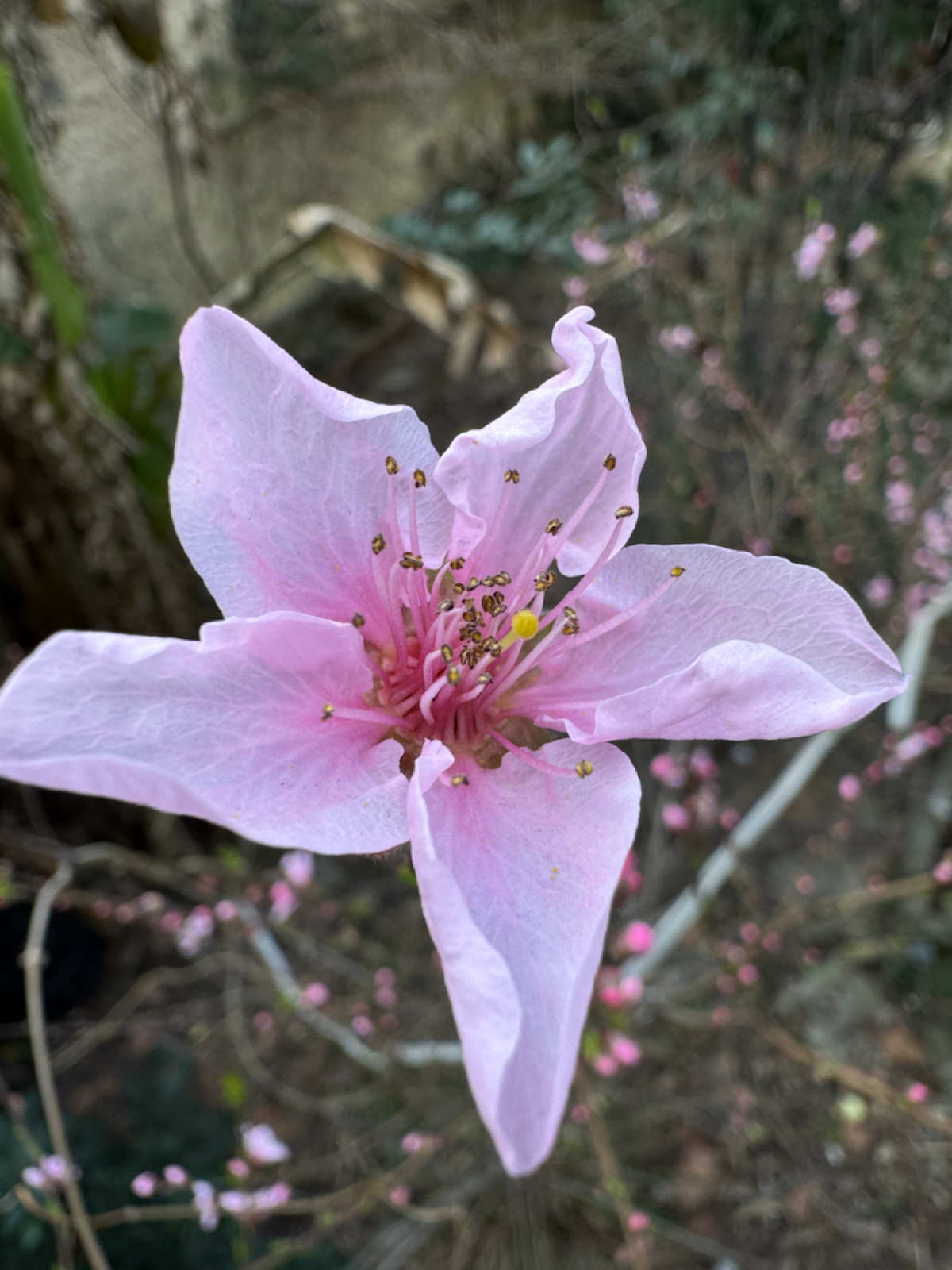 Тест на финансовую грамотность | Сетка — социальная сеть от hh.ru