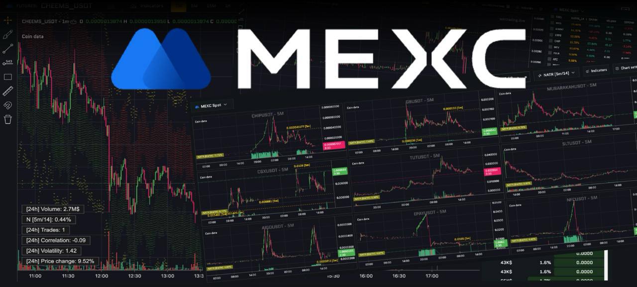 😆Новое обновление в wintrading | Сетка — социальная сеть от hh.ru
