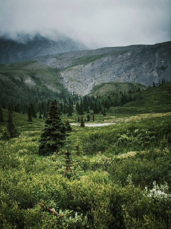 🇷🇺Фестиваль «Неизвестная Россия»20-27 марта
Вас ждут 7 дней, 40 работ и все об истории, природе, мифах и тайнах нашей страны в самом сердце столицы, в кинотеатре «Октябрь»
Расписание
▫️Вход свободный,... | Сетка — социальная сеть от hh.ru