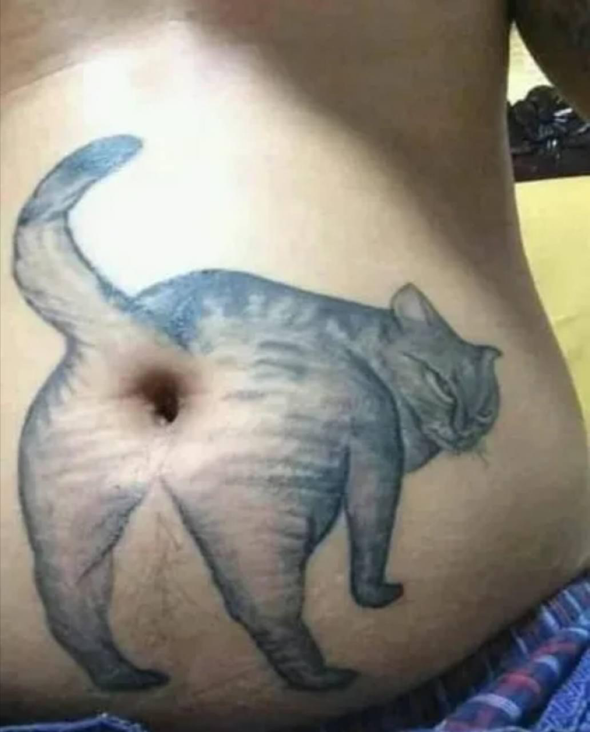 Как же без котиков 🐈😆👍 | Сетка — социальная сеть от hh.ru