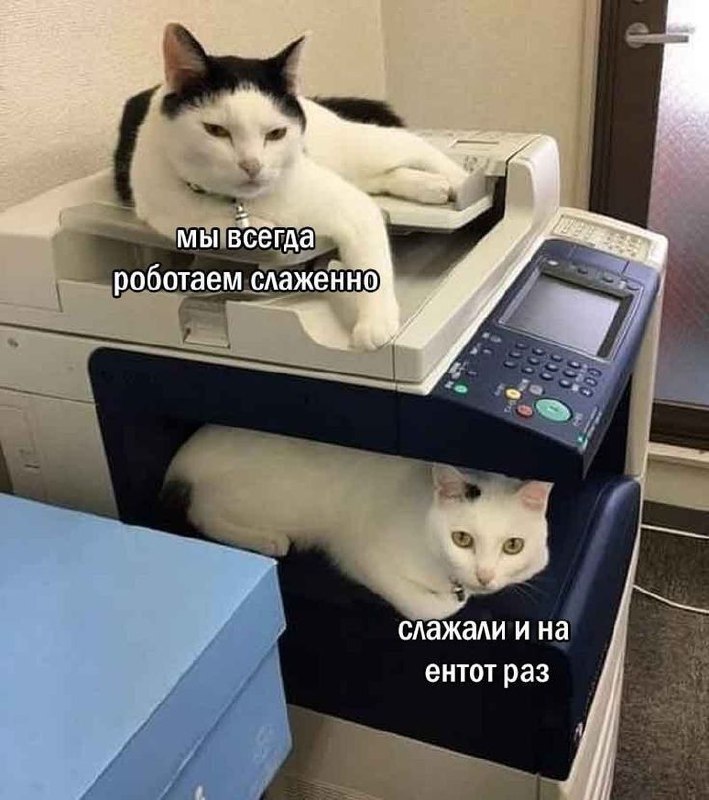 Встречаем середину недели 😬 | Сетка — социальная сеть от hh.ru