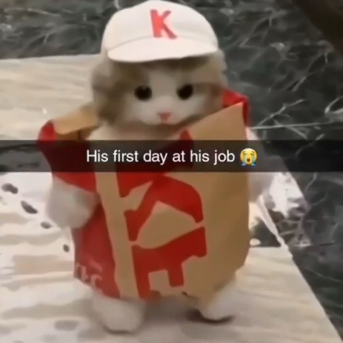 Денис Бойко