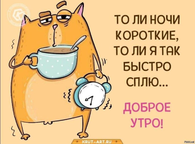 Доброе утро, ставропольцы! | Сетка — социальная сеть от hh.ru