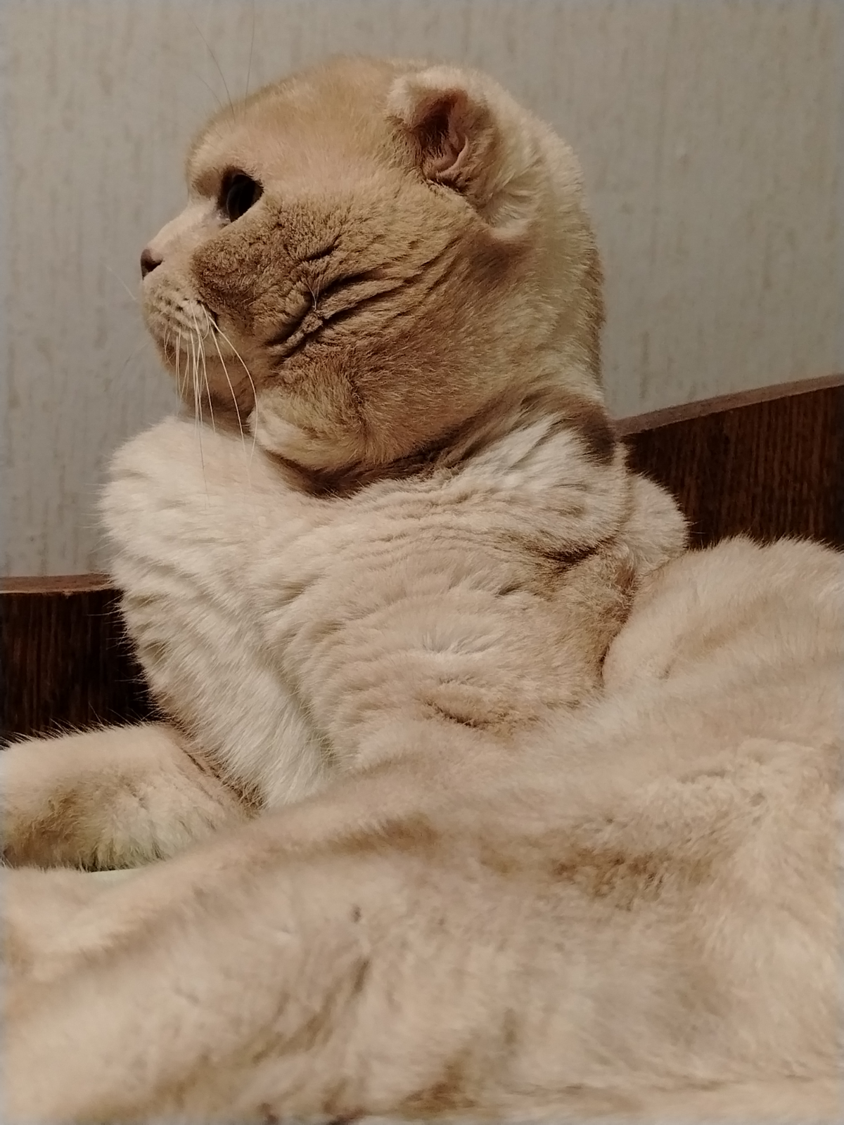 Портрет Лося Великого 😼👑 | Сетка — социальная сеть от hh.ru
