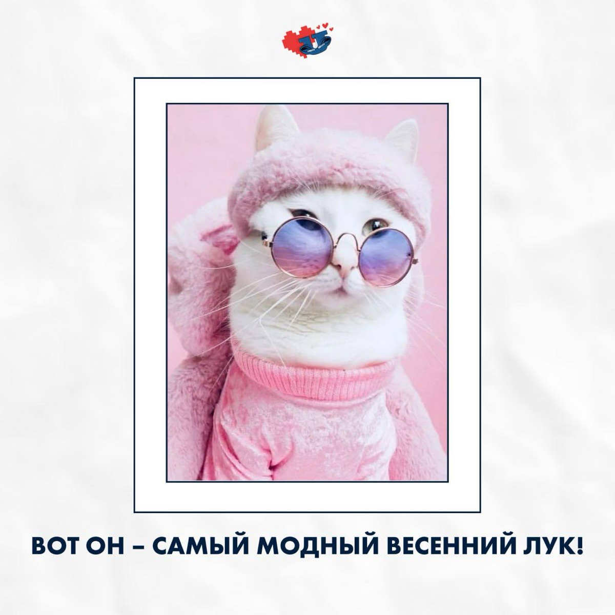 Вот она, моя долгожданная весна… 🍃 | Сетка — социальная сеть от hh.ru