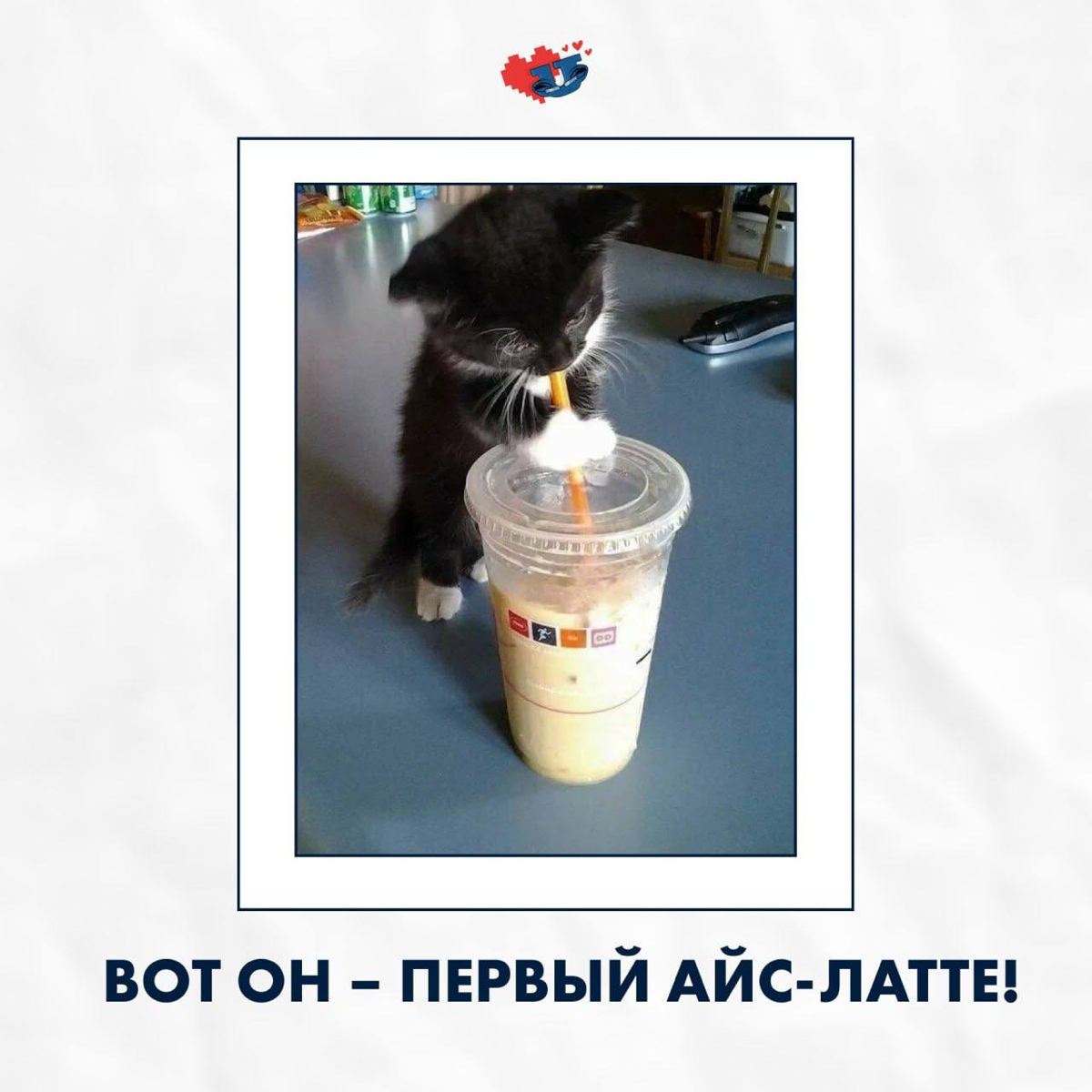 Вот она, моя долгожданная весна… 🍃 | Сетка — социальная сеть от hh.ru