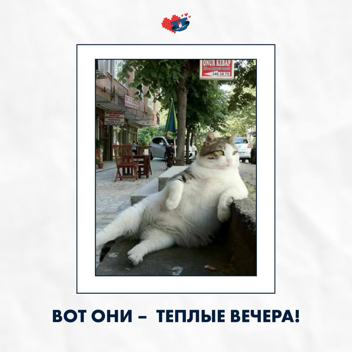 Вот она, моя долгожданная весна… 🍃 | Сетка — социальная сеть от hh.ru