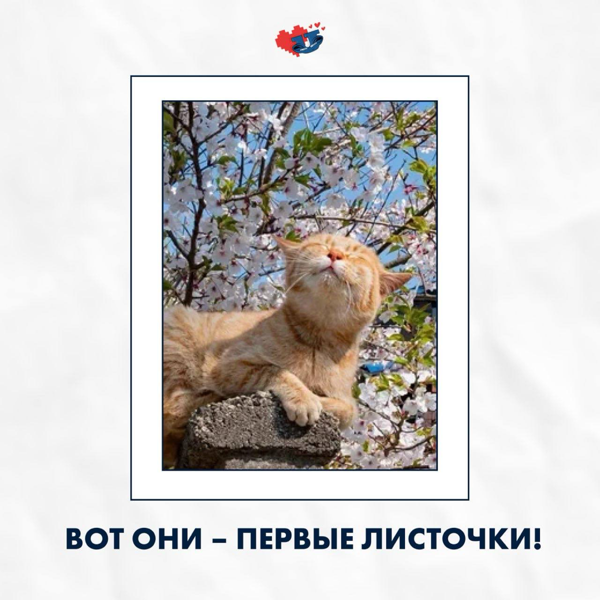 Вот она, моя долгожданная весна… 🍃 | Сетка — социальная сеть от hh.ru