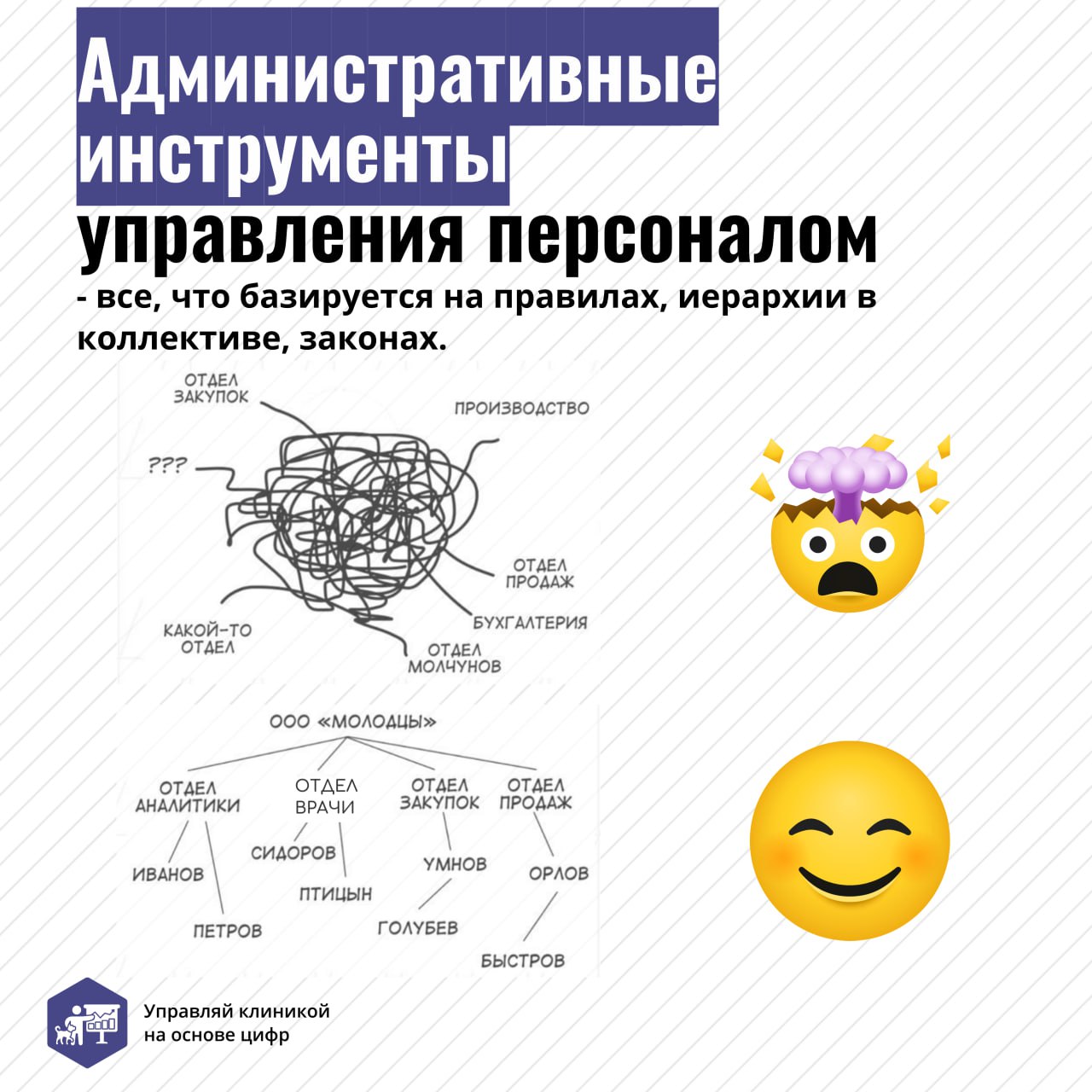 «Я же плачу зарплату, что им еще нужно?» — такое часто можно услышать от владельцев ветеринарных клиник, которые не уделяют должного внимания управлению своим персоналом | Сетка — социальная сеть от hh.ru