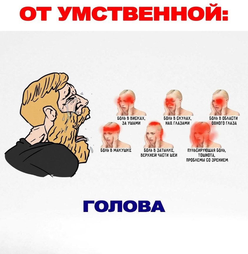 📊 KPI по мемам | Сетка — социальная сеть от hh.ru