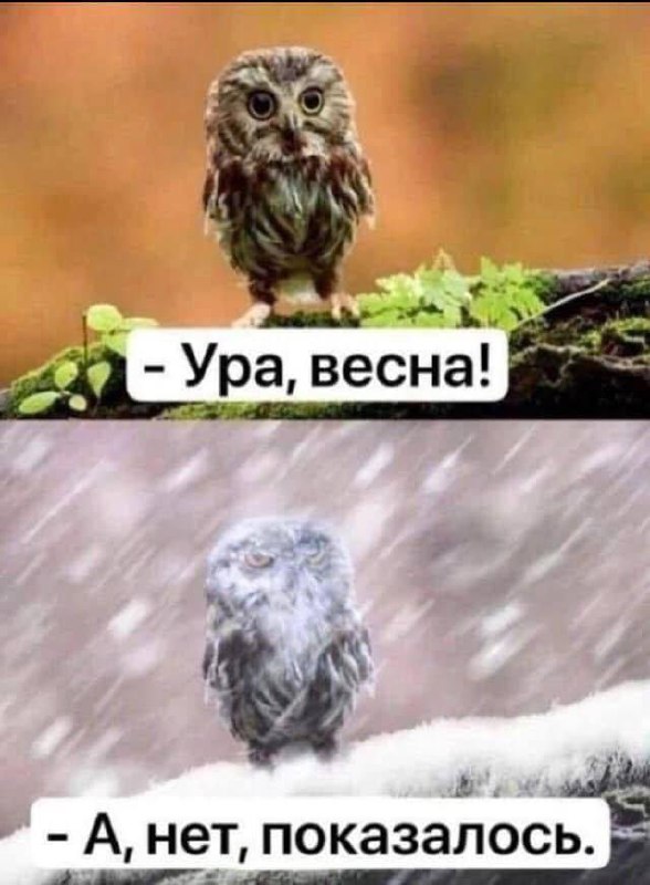 Синоптики обещают, что до наступления климатической весны осталось недолго
❤️ Москва
В конце марта можно ждать оттепель. К двадцатым числам месяца воздух прогреется до +13 градусов | Сетка — социальная сеть от hh.ru