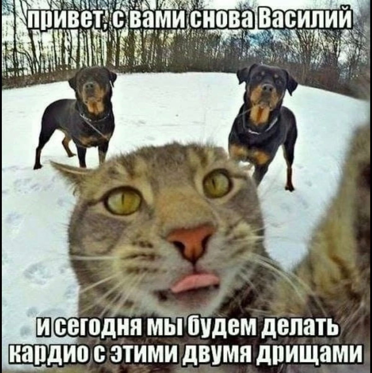 Среда-это маленькая пятница. | Сетка — социальная сеть от hh.ru