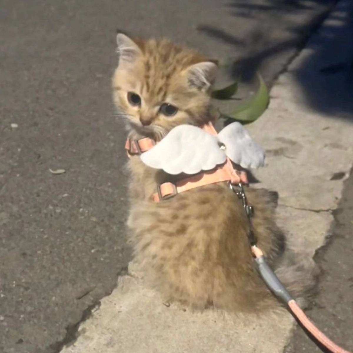 Артём Крят | Сетка — социальная сеть от hh.ru