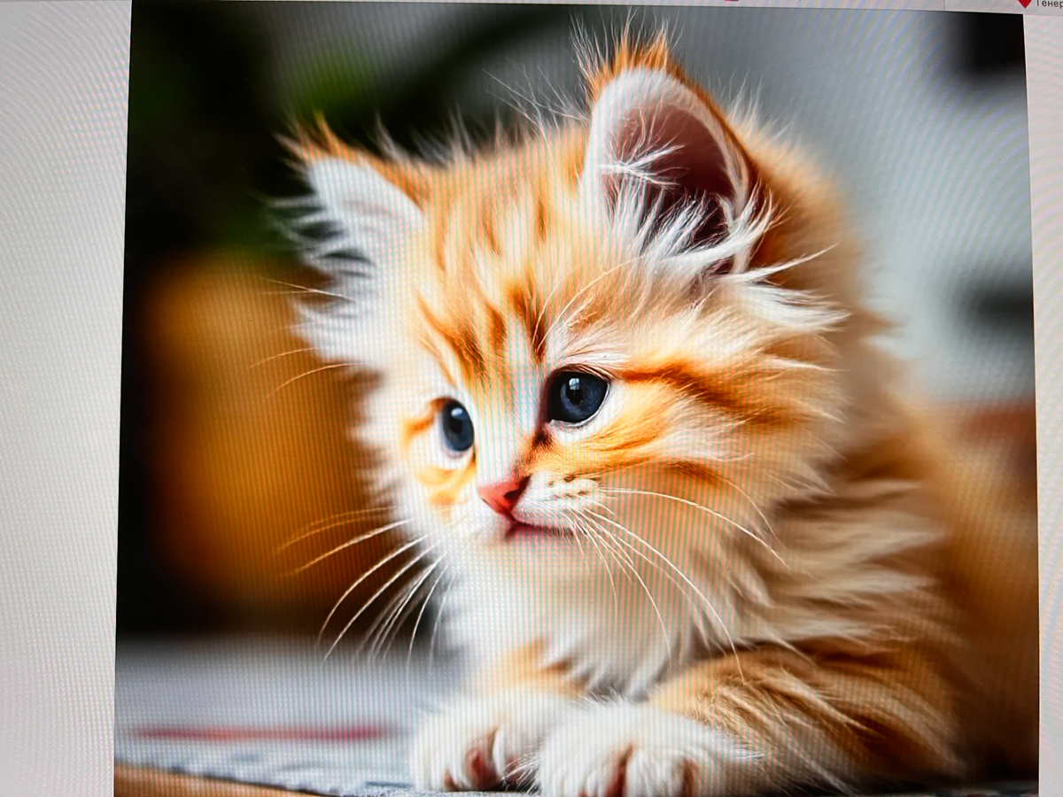 Качество | Сетка — социальная сеть от hh.ru