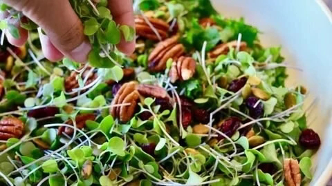 💙Правильное потребление микрозелени💚 | Сетка — социальная сеть от hh.ru