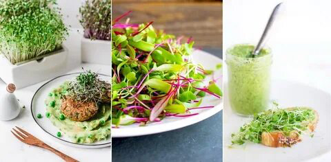 ✳️Микрозелень как пищевая добавка: | Сетка — социальная сеть от hh.ru