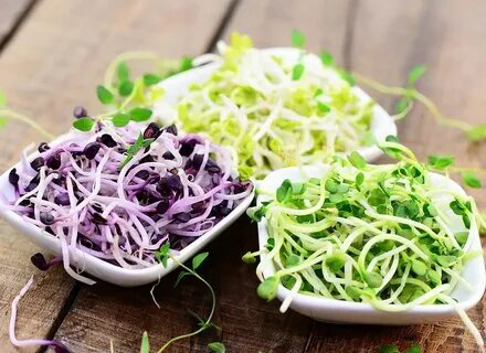 ✳️Микрозелень как пищевая добавка: | Сетка — социальная сеть от hh.ru