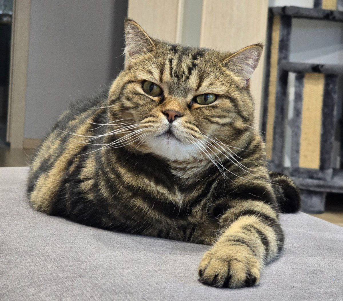 Продвижение ТГ-канала | Сетка — социальная сеть от hh.ru