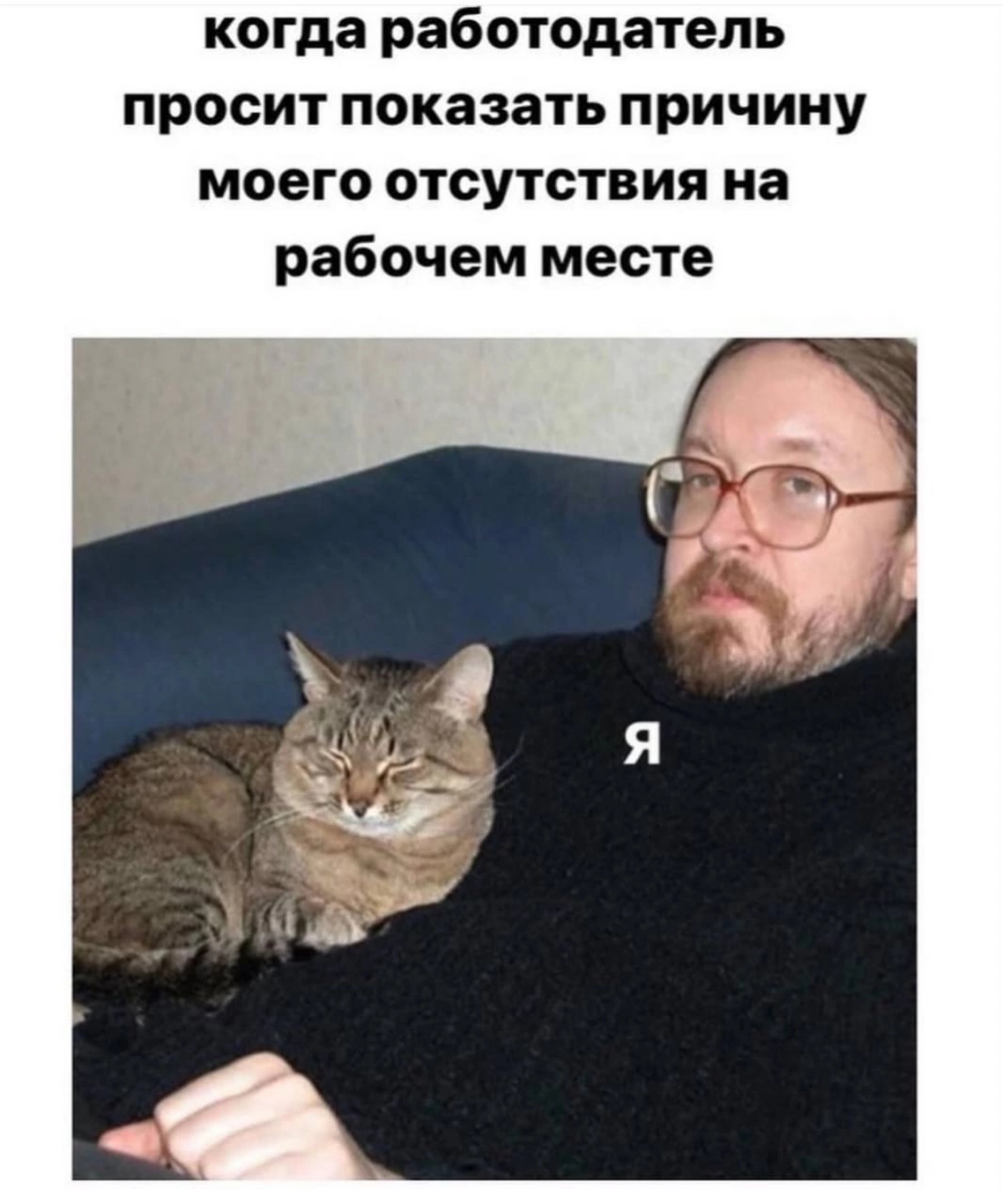 100% осуждения | Сетка — социальная сеть от hh.ru