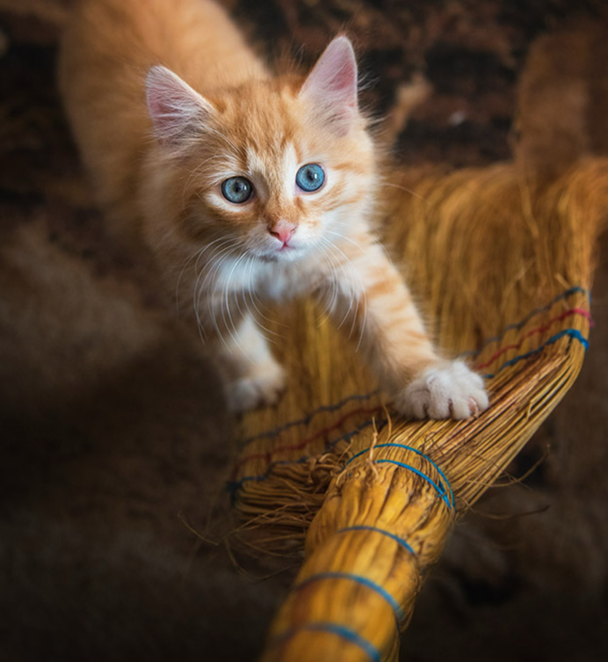 Ночные котики | Сетка — социальная сеть от hh.ru
