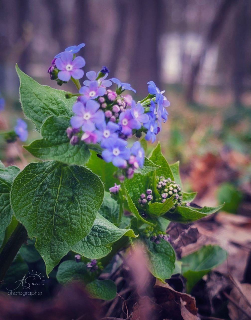 Маленькая весна в Курортном парке Ессентуков
📷 lifesunlife | Сетка — социальная сеть от hh.ru