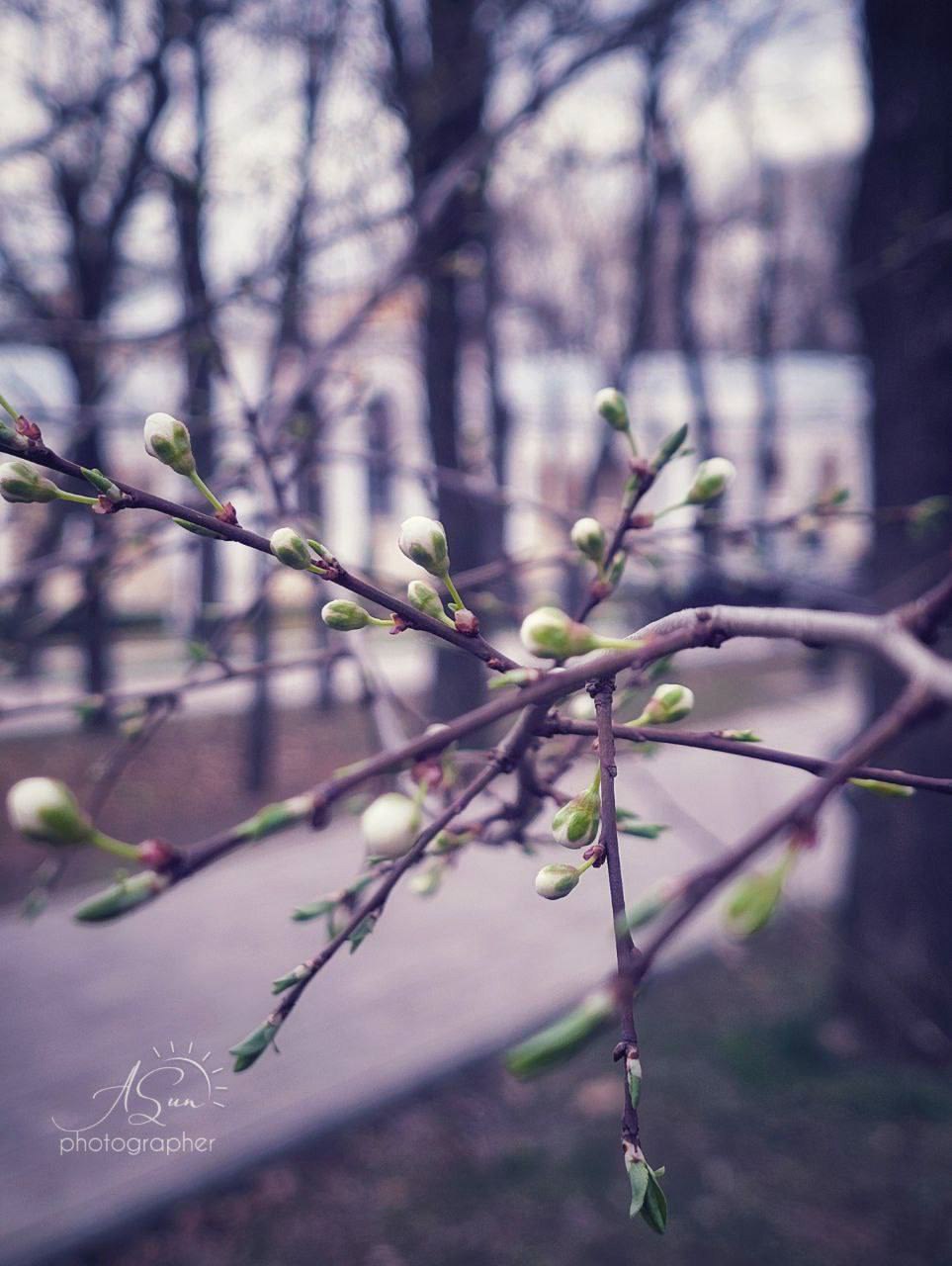 Маленькая весна в Курортном парке Ессентуков
📷 lifesunlife | Сетка — социальная сеть от hh.ru