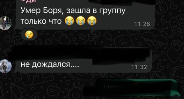 Самые болезненные сообщения в группе зоозащитников. | Сетка — социальная сеть от hh.ru