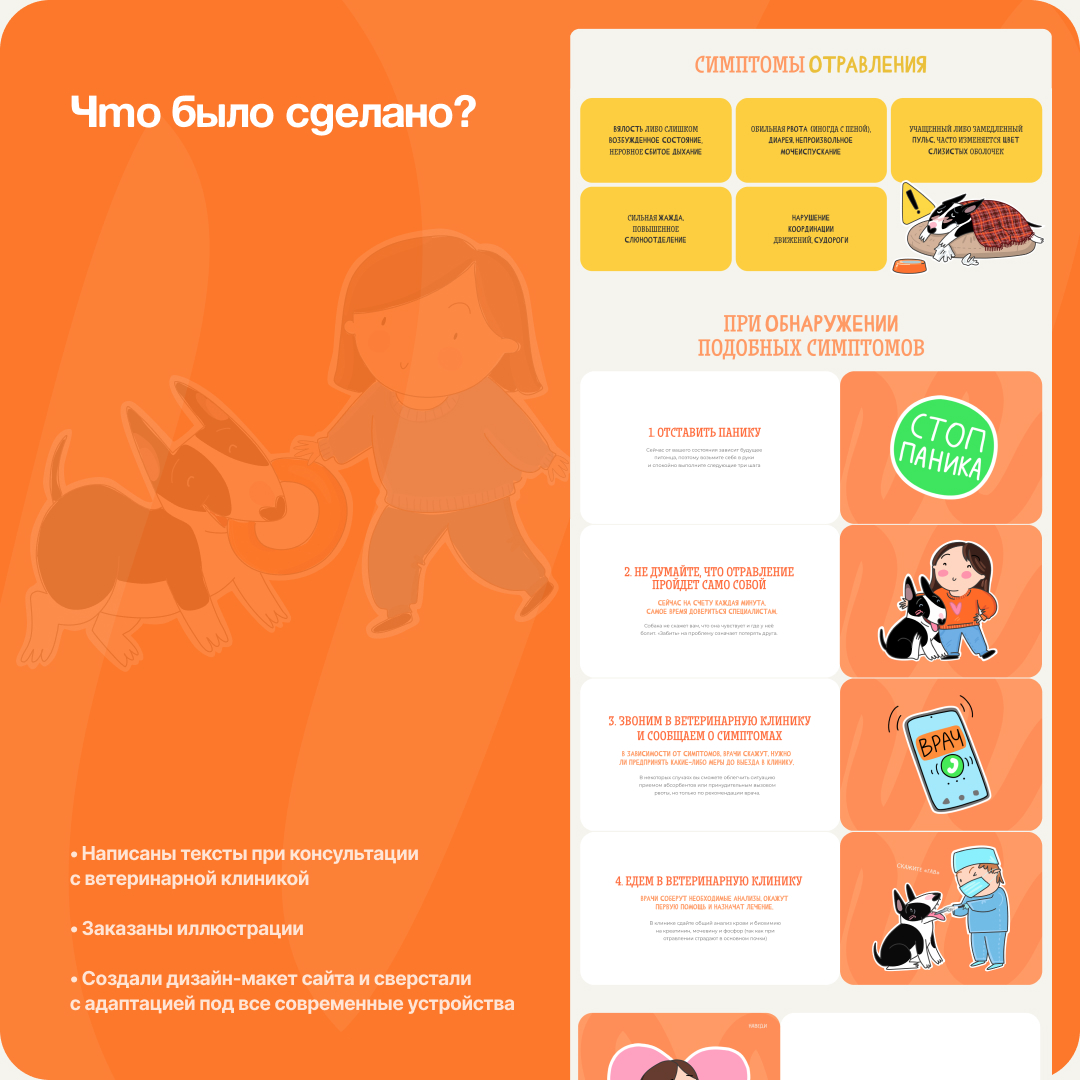 Сайт правил прогулки с собаками 🐕 | Сетка — социальная сеть от hh.ru