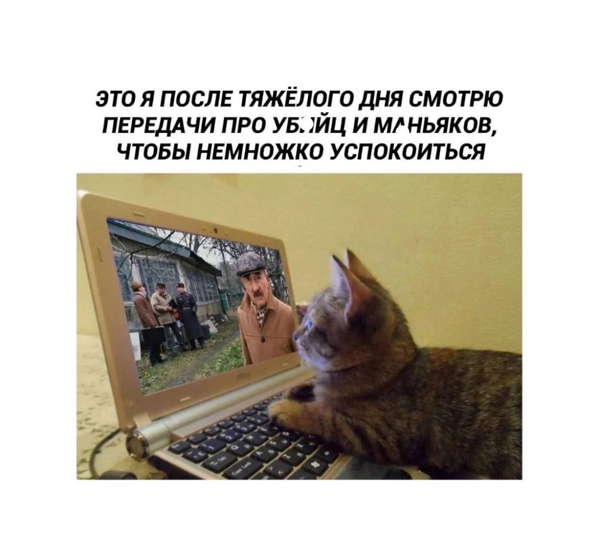 Официальный перерыв на мемы 😎 | Сетка — социальная сеть от hh.ru