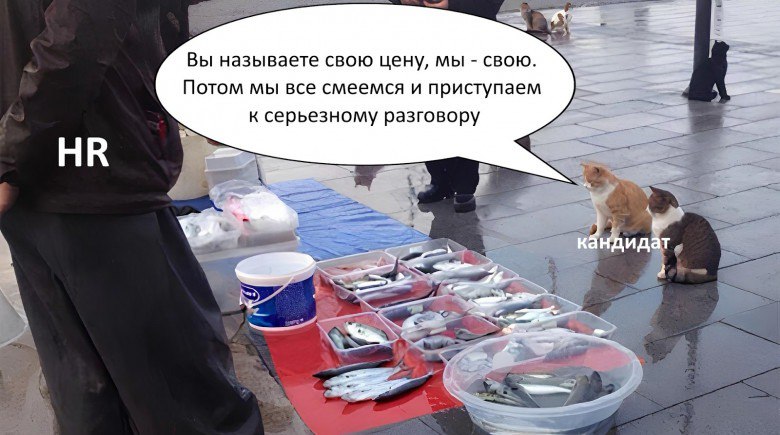 HR тут? | Сетка — социальная сеть от hh.ru