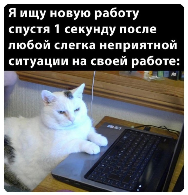 📊 KPI по мемам | Сетка — социальная сеть от hh.ru