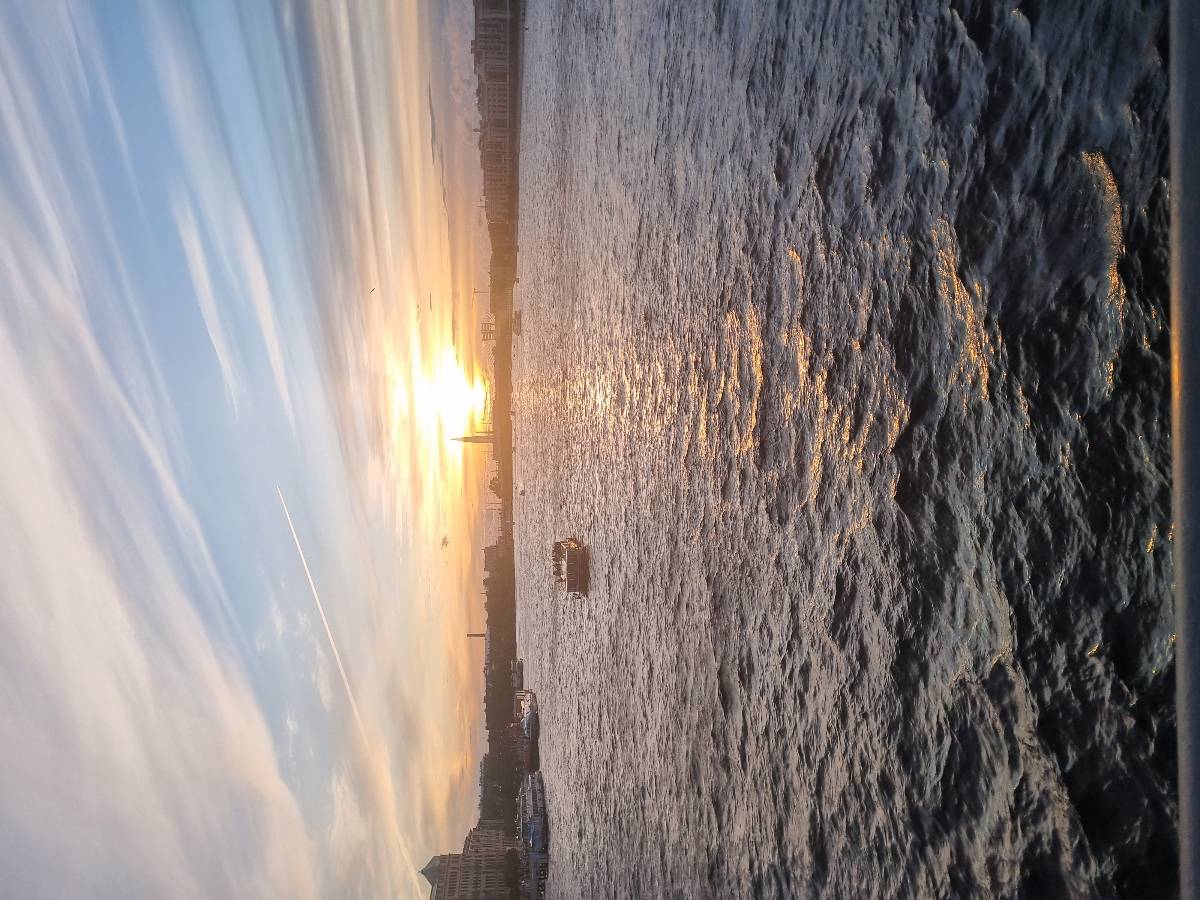 Павел Огорельцев | Сетка — социальная сеть от hh.ru